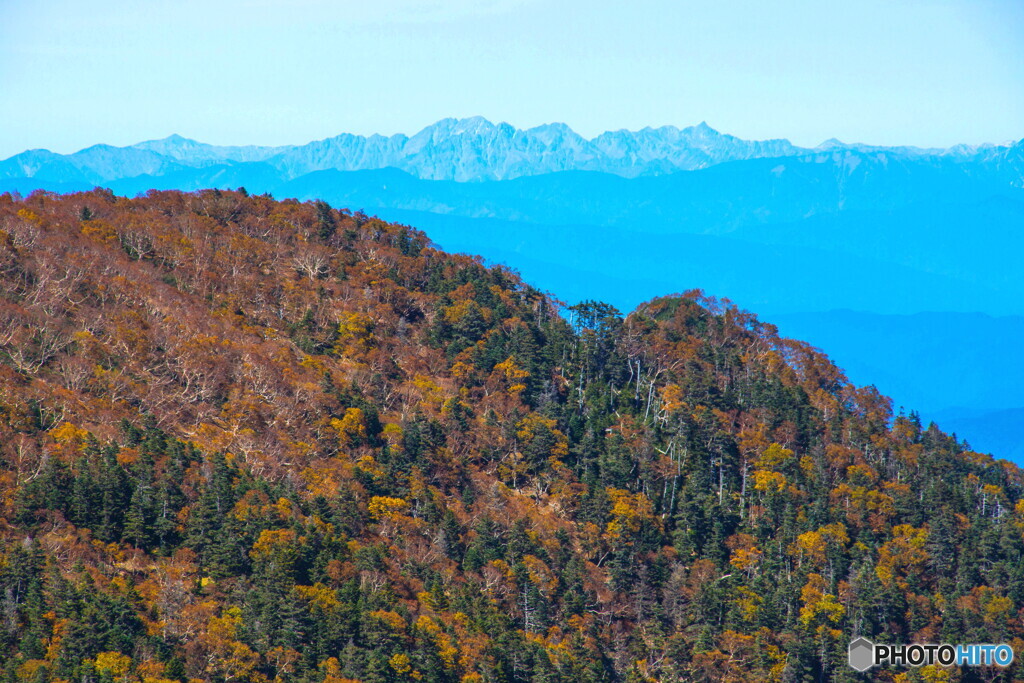 紅葉する尾根と飛騨山脈