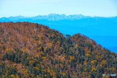 紅葉する尾根と飛騨山脈