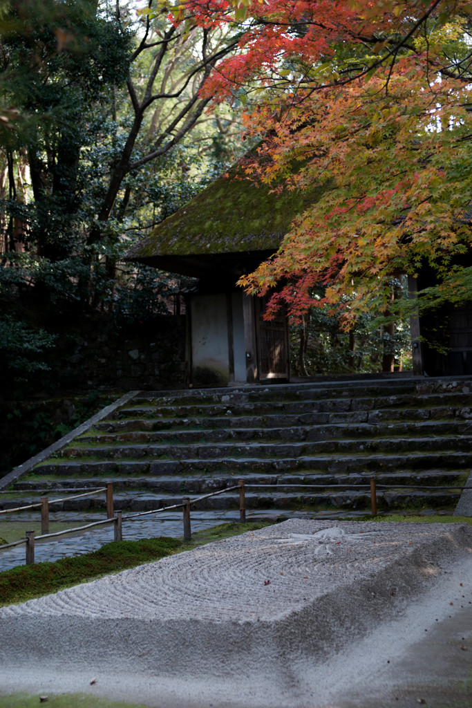川面に浮かぶ紅葉