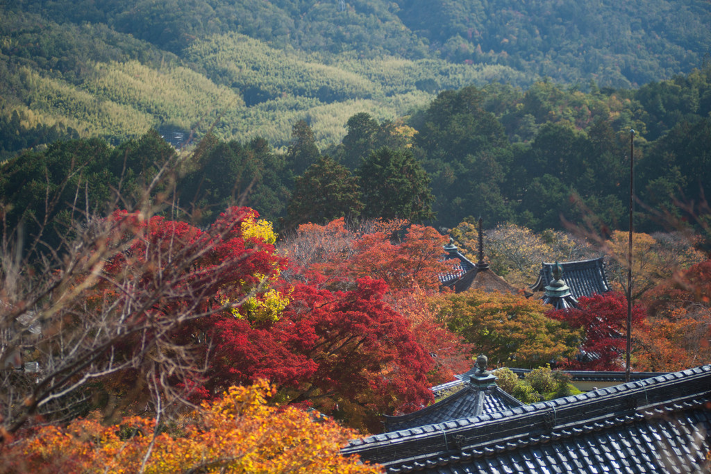 山寺の彩り