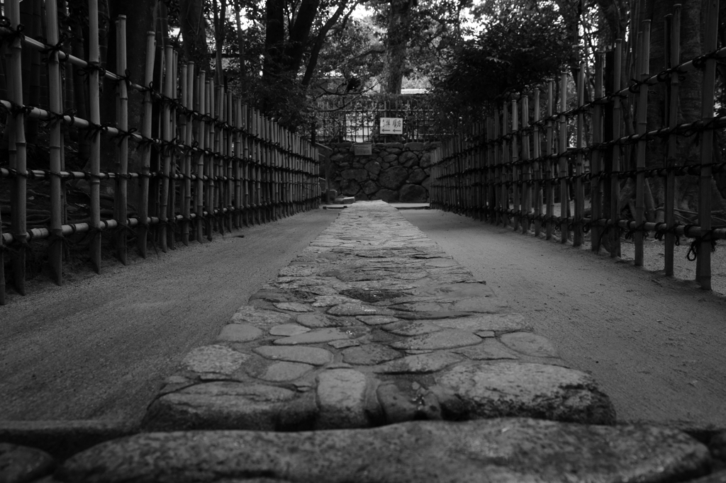 京都年の瀬散歩－解脱への路－