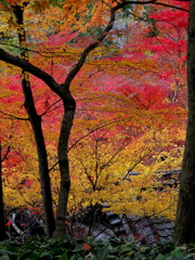 今年も待ってるよ～2