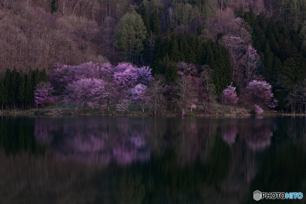 中綱湖・目覚めの刻