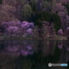 中綱湖・目覚めの刻
