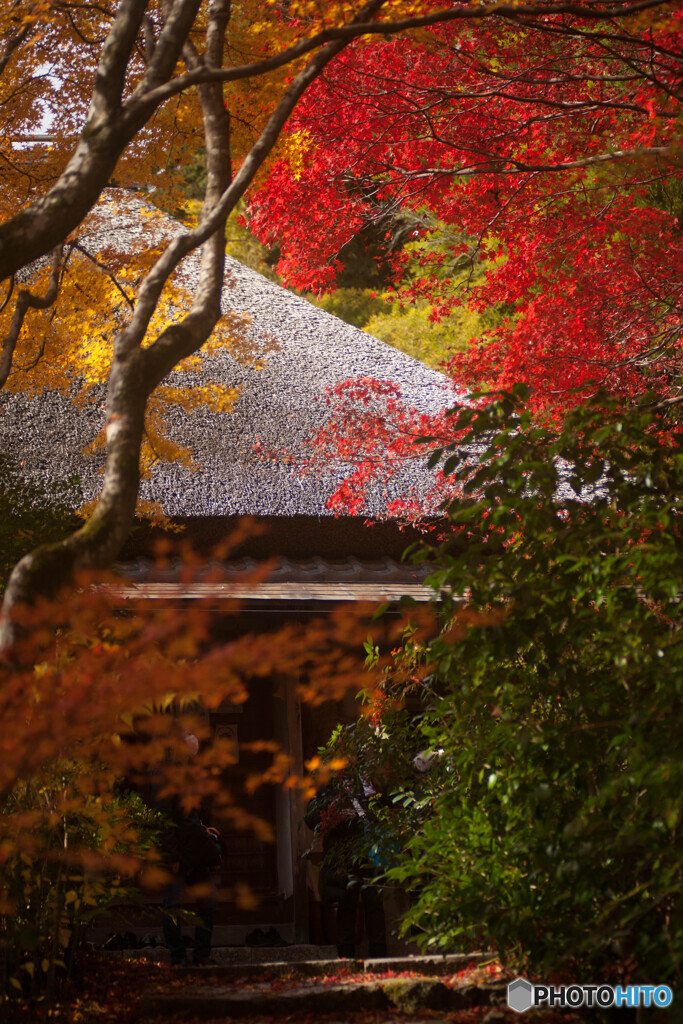 想い出草の庵