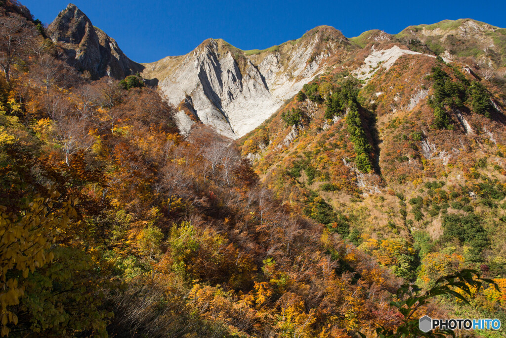 錦秋雨飾山