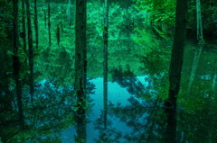 迷いの森の水鏡