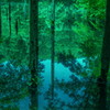 迷いの森の水鏡