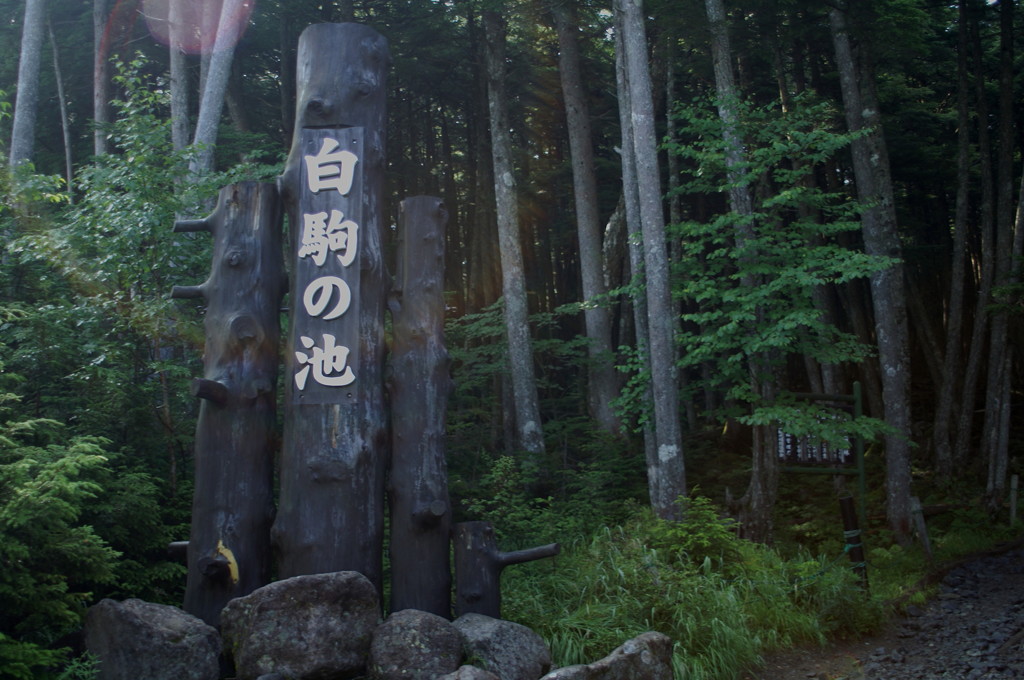白駒池散策01