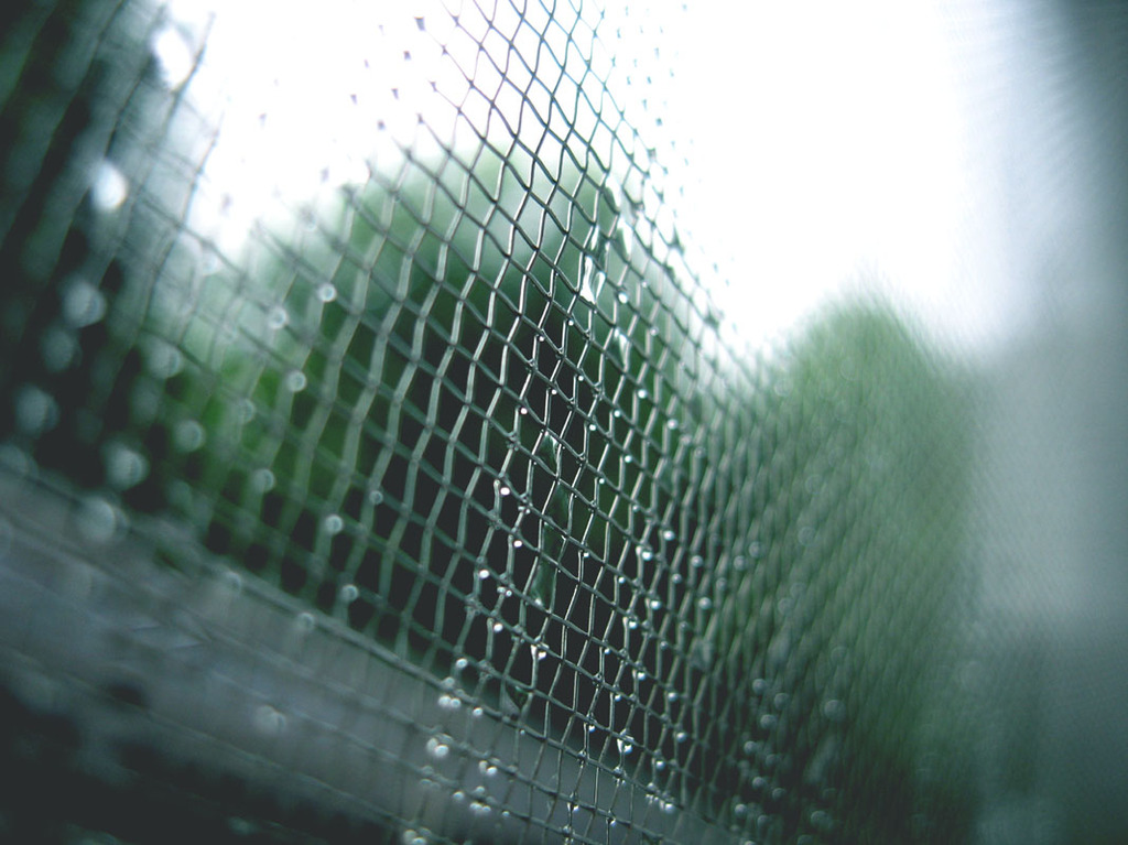 雨の日