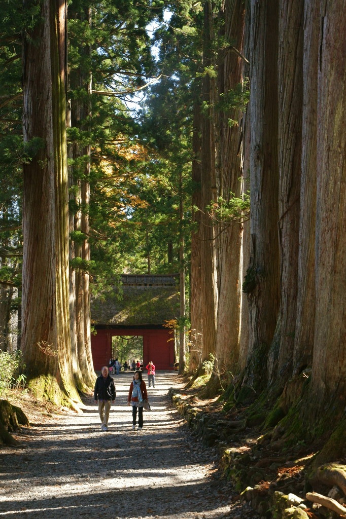 飯縄高原（戸隠神社）