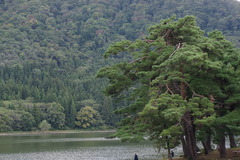 野沢温泉　北竜湖