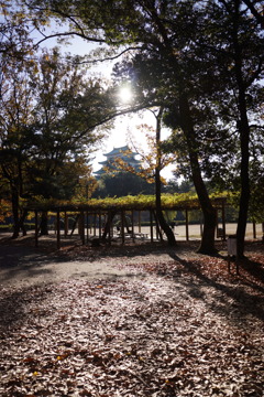 名古屋城