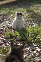 DSC05590