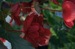 DSC04487