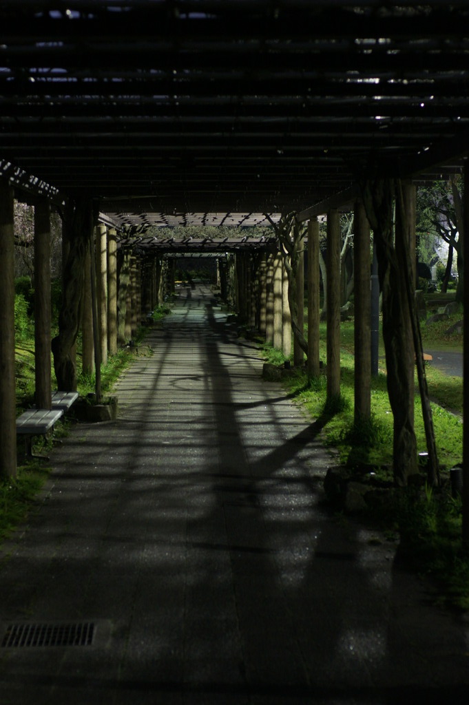 DSC07721