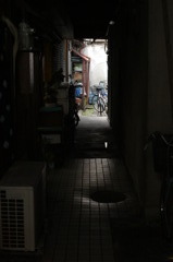 DSC08303
