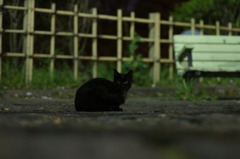 DSC08325