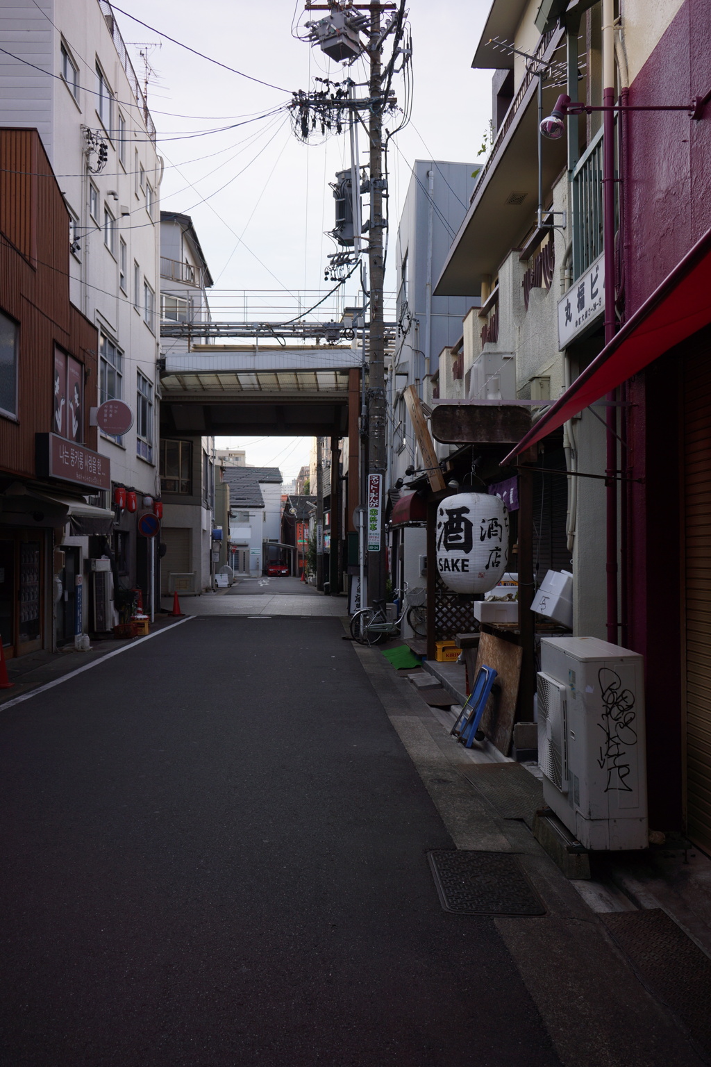 朝
