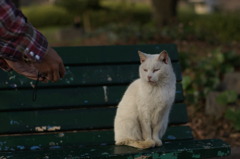 DSC05873