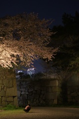 DSC07805