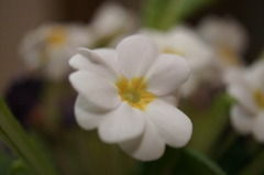 DSC05159