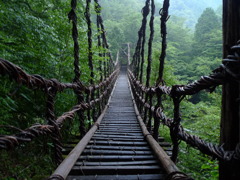 渡りたくなるつり橋