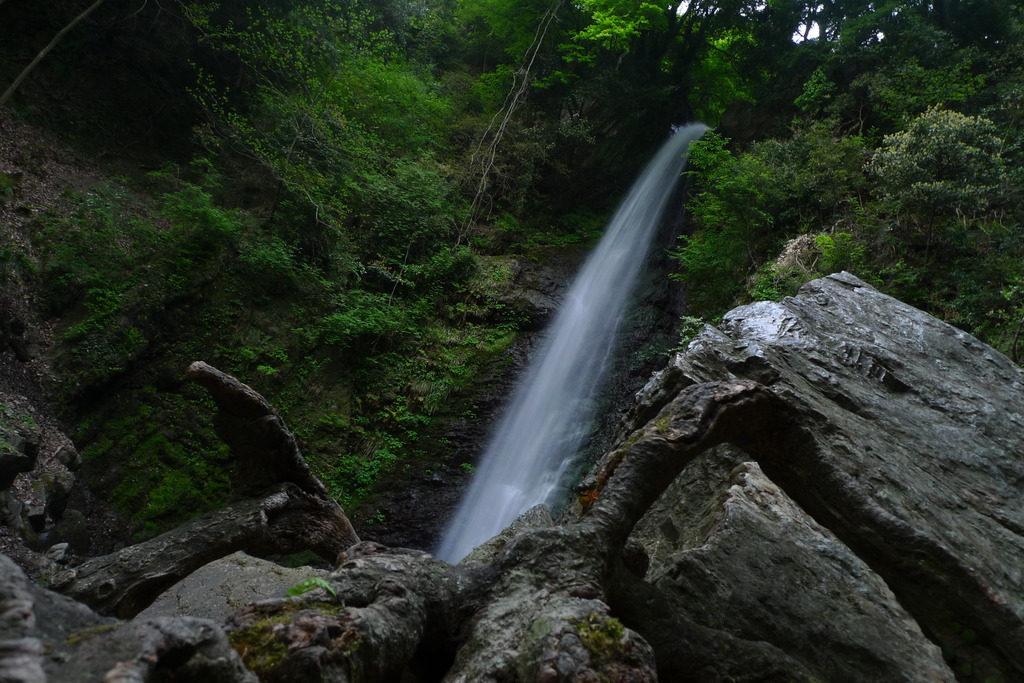 養老の滝