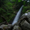 養老の滝