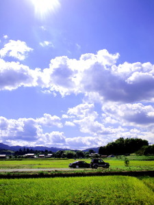 いざ、飛鳥へ！