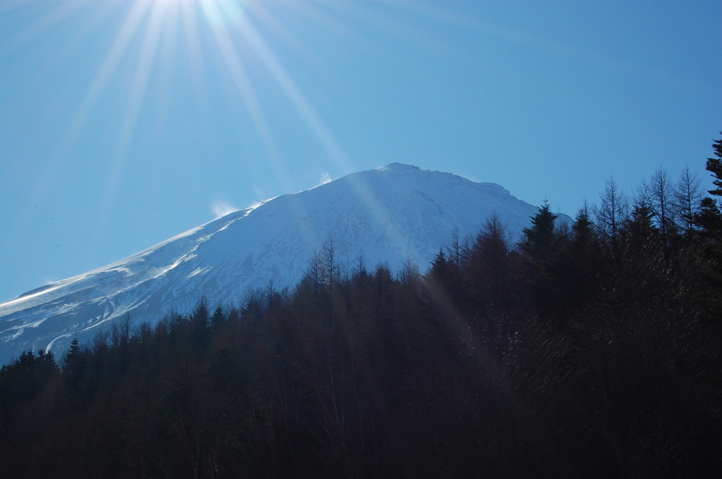 朝の富士山