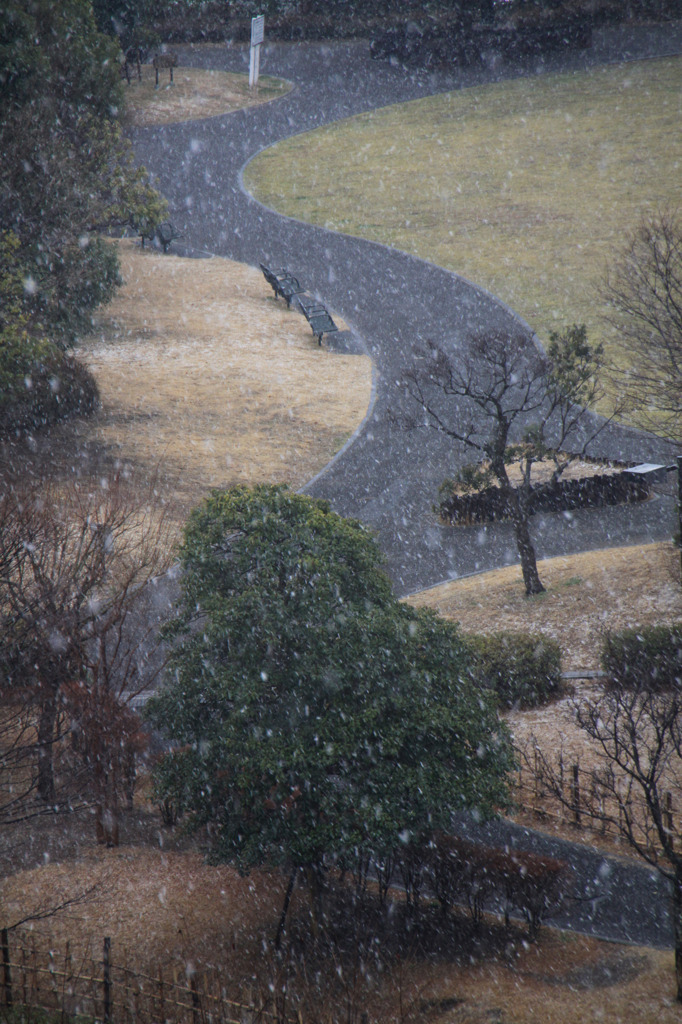 Park & snow