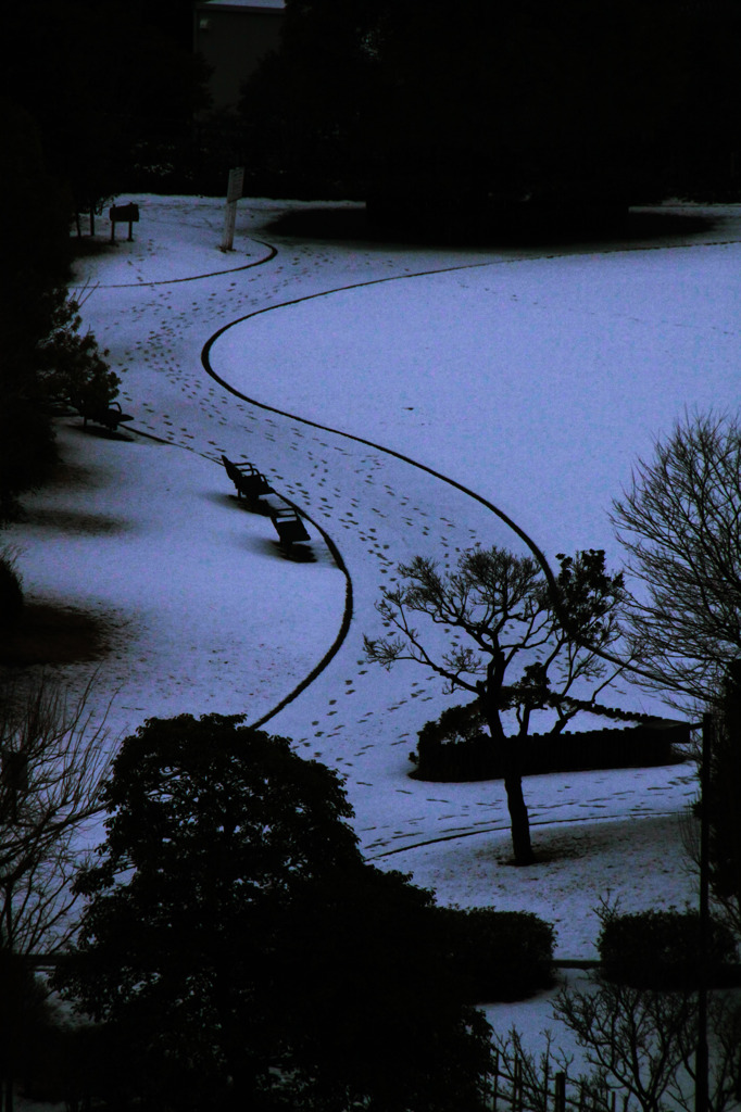 湘南雪景２