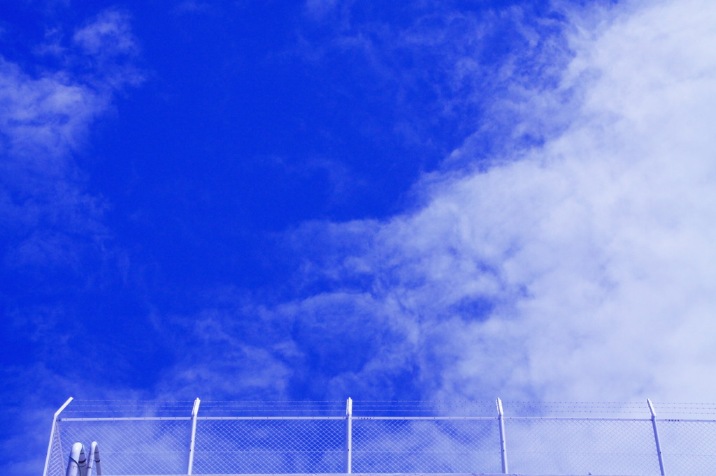 Sky & NET