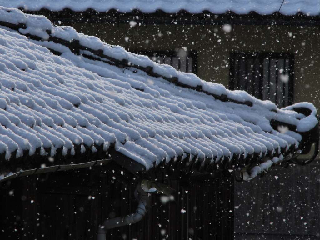 廃屋に降る雪
