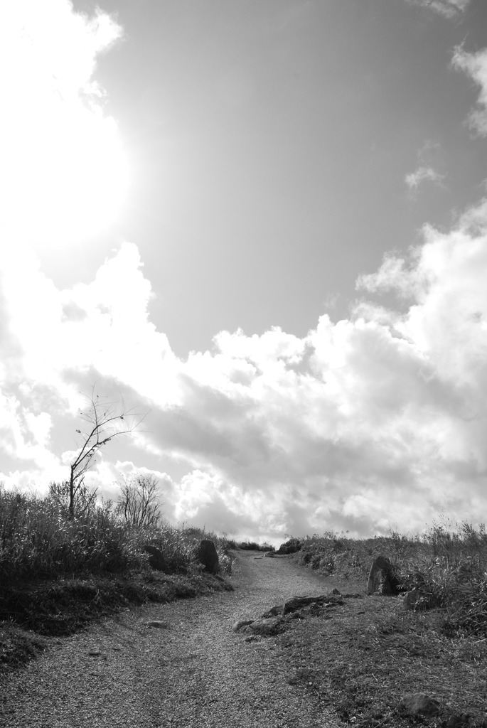winding road
