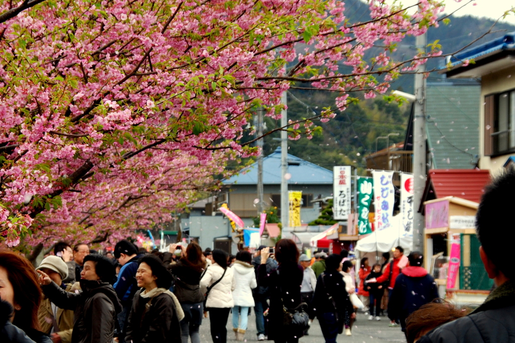 桜吹雪