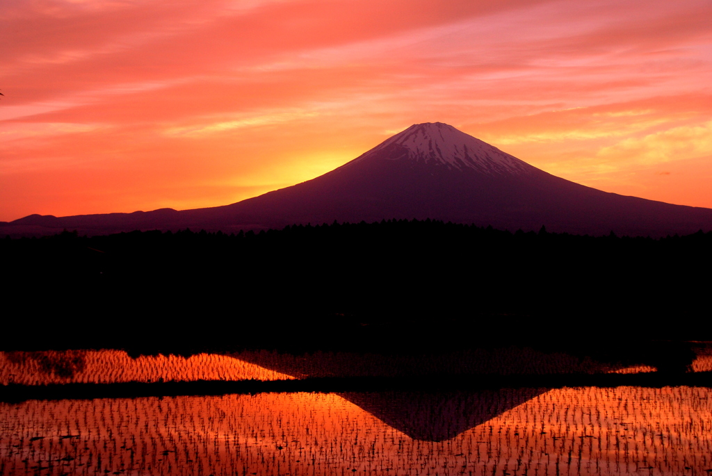 富士と田園