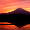 富士と田園