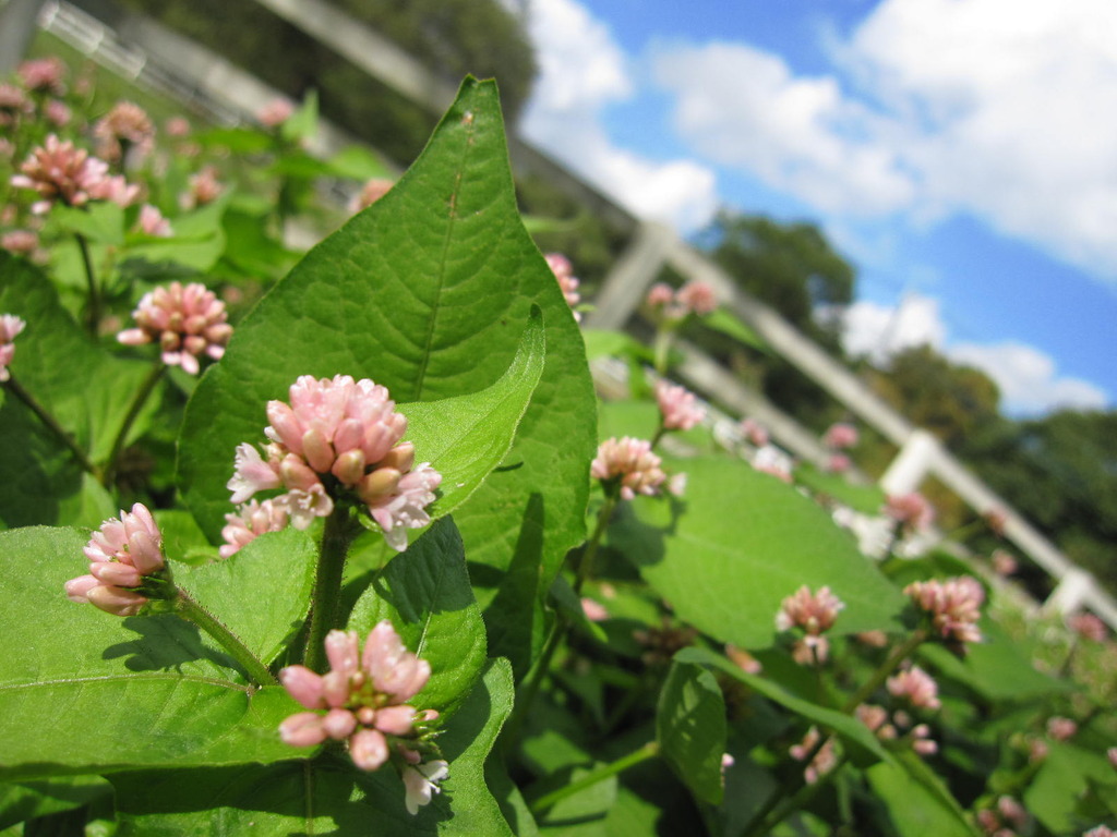 ＊ちっちゃくてもね＊