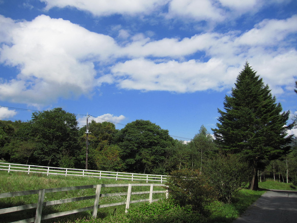 ＊ほっとするの＊