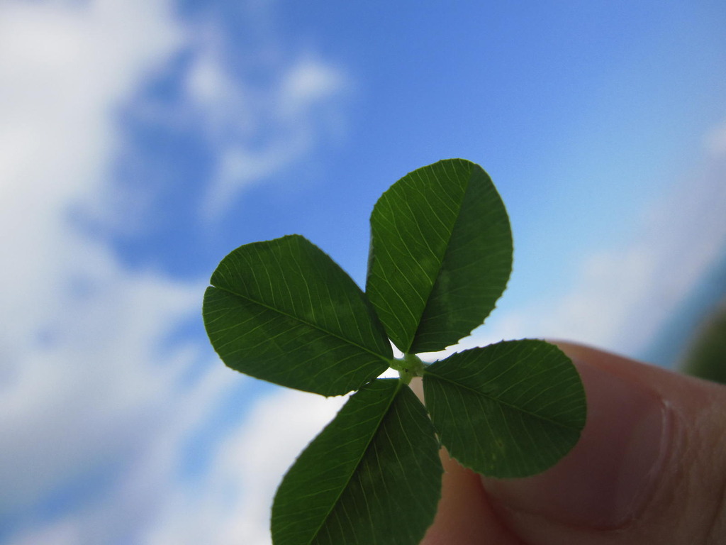 ＊幸せみっけた＊