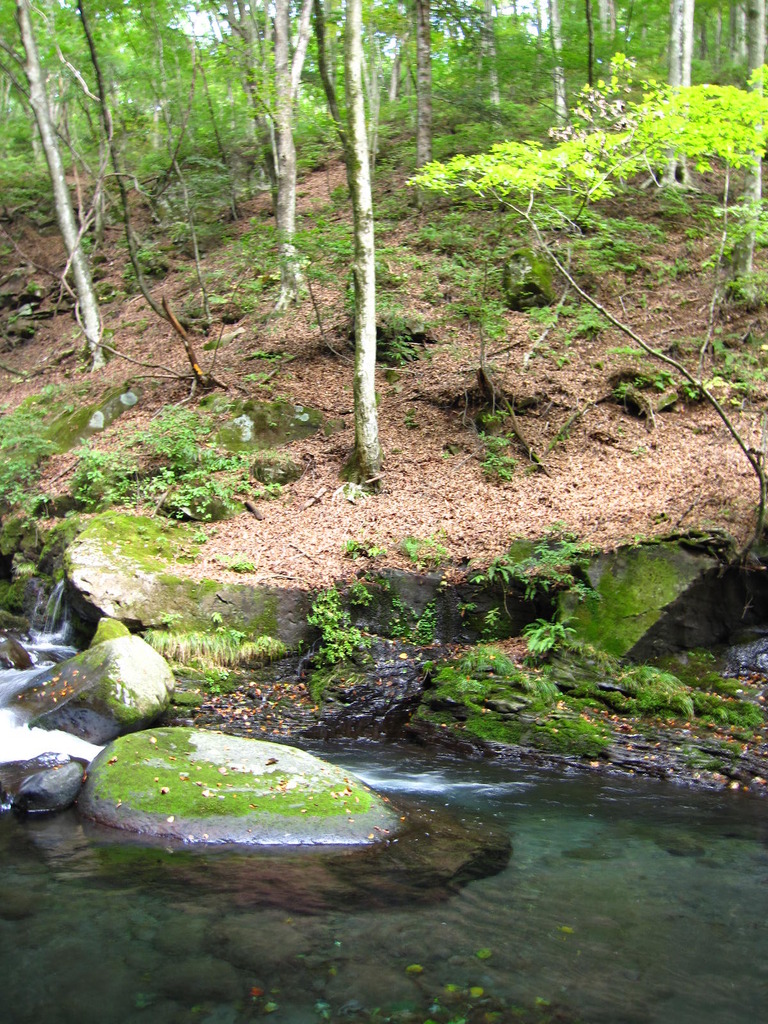 ＊いいお天気＊