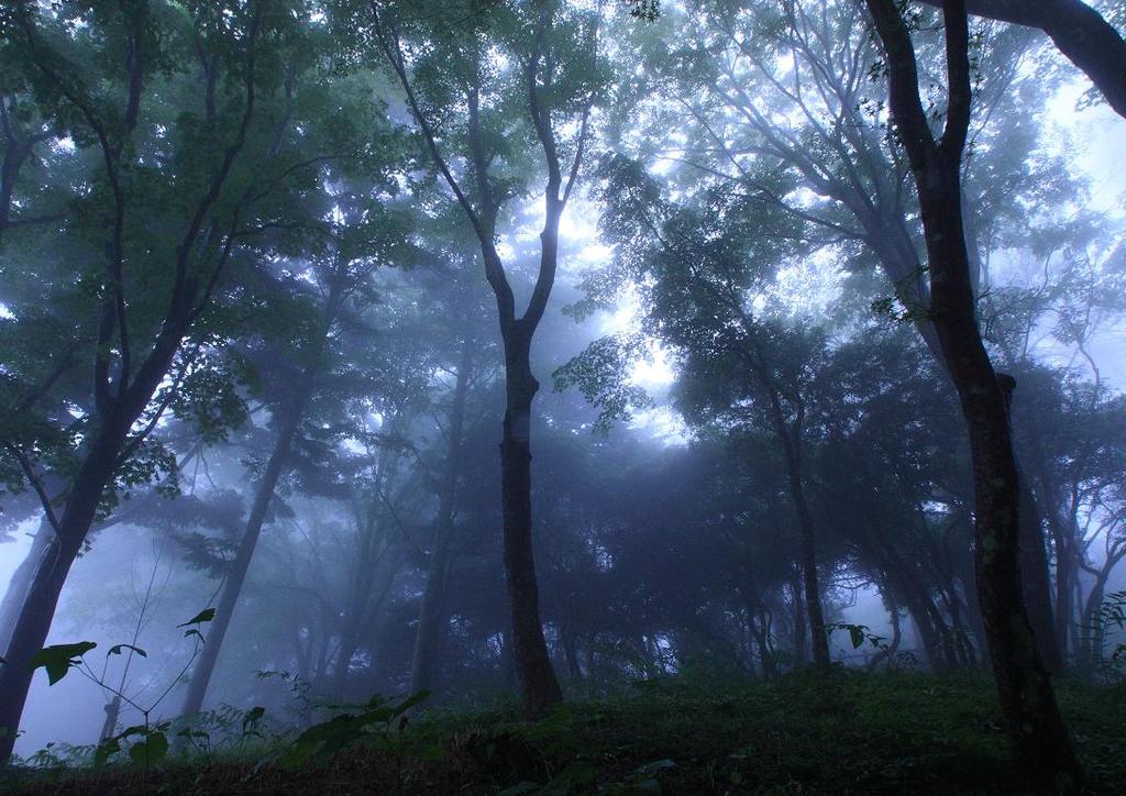 遭難