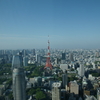 DSC01517