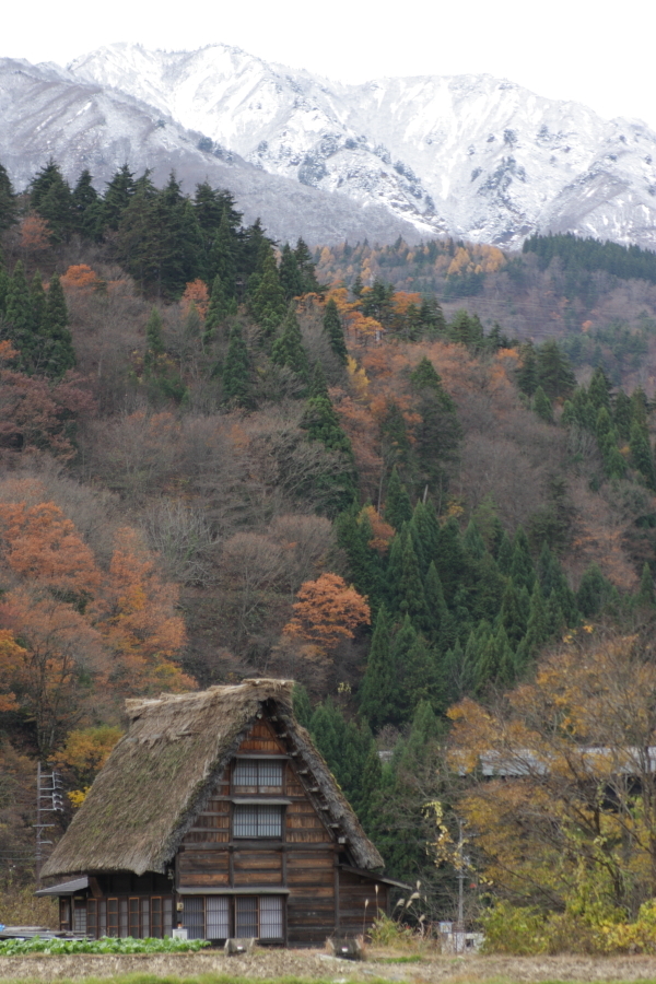 白川郷