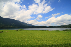 青木湖の夏