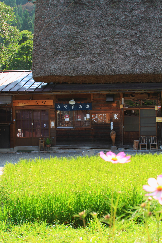 潤いのオアシス