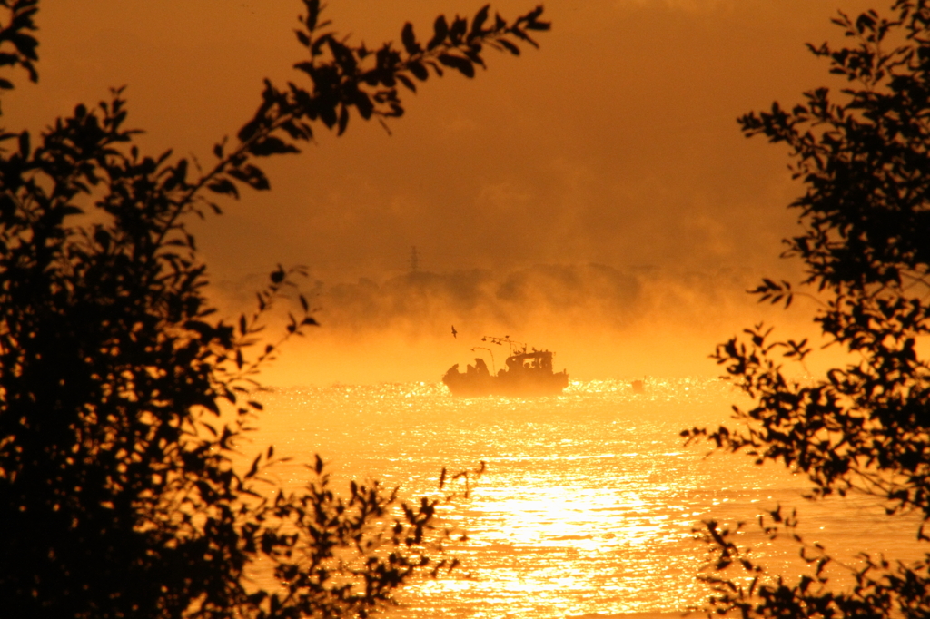 朝靄のワカサギ漁