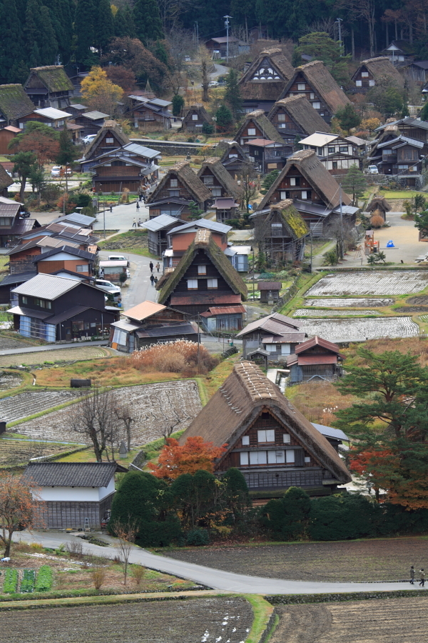 白川郷　展望台から
